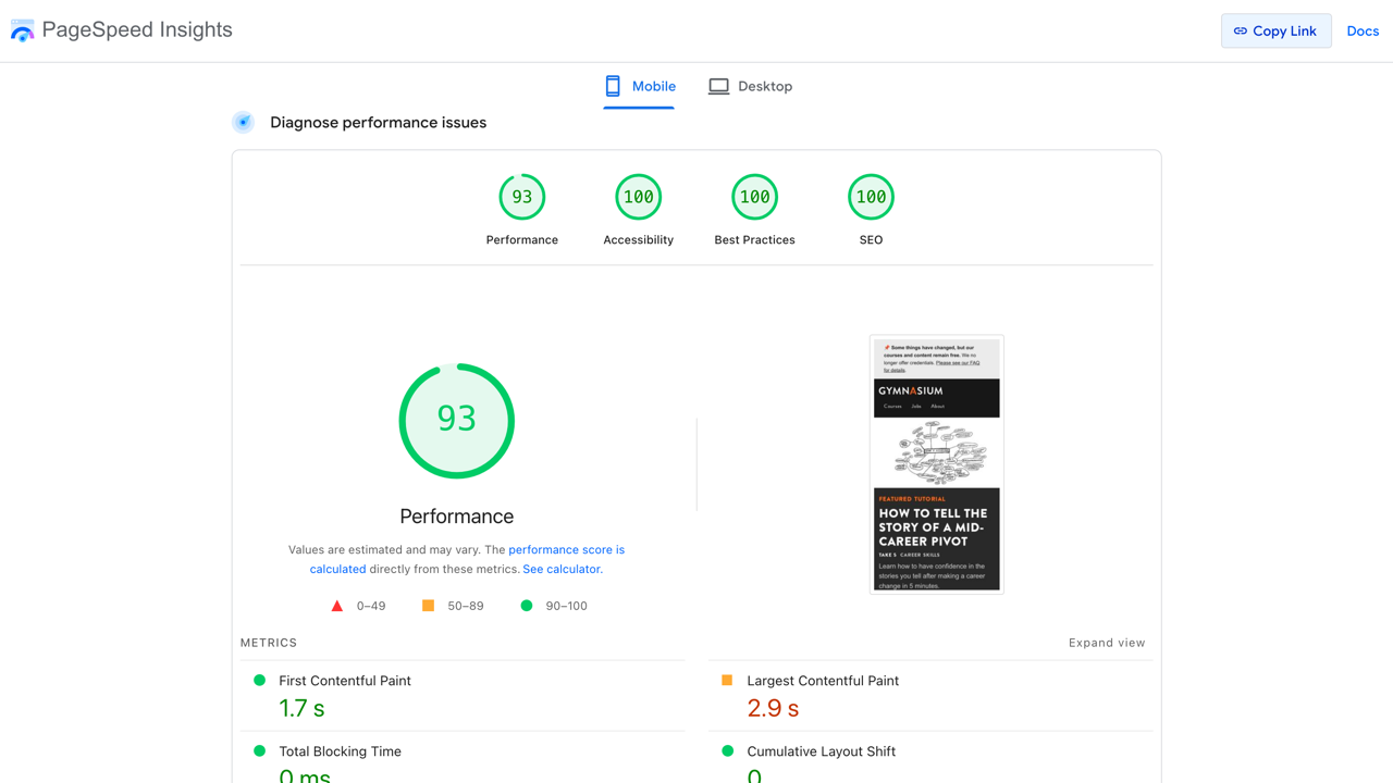 PageSpeed Insights: 93 Performance, 100 Accessibility, 100 Best Practices, 100 SEO.
